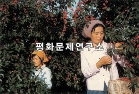 선대리 양벚수확
