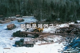 동수리 용하임산사업소 목재수송