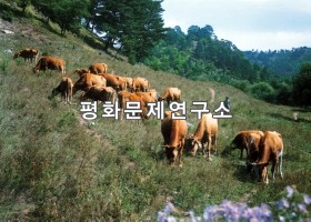 대덕리 대덕협동농장 축산반 소방목