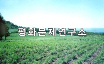 오일노동자구 갑산오일농장