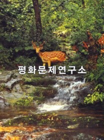 지남리 계곡풍경1