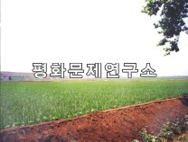 인포리 벌2