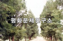 회양읍 입구도로