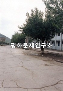 허천읍 중심거리