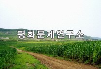 용연노동자구 진입도로