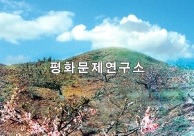 감신무덤(보존급 제66호) 외경