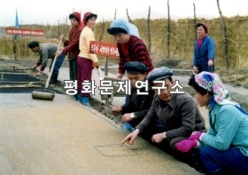 금계리 냉상모판