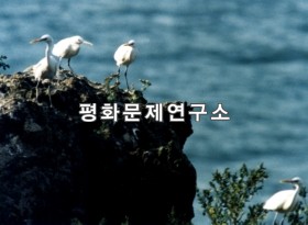 천대리 소감도바닷새번식지