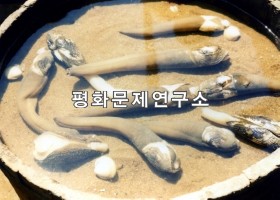 [자연지리]철산조개번식지(천연기념물 제67호)