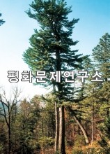 가산령잣나무(천연기념물 제105호)