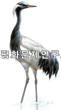 댕기두루미