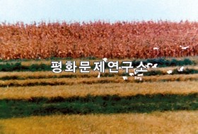 연백벌에 날아든 백학