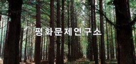 옹진군 수삼나무림(메타세쿼이아림)