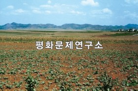 용천군 긴등벌