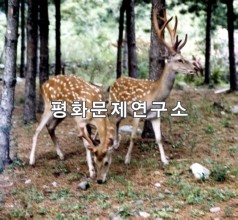 인산군 인산사슴목장