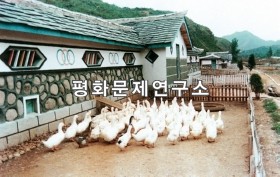 수안군 수안오리목장 오리사