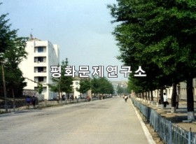 신포시 신포여관 앞거리