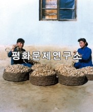 신흥군 누에고치 생산모습