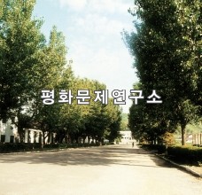 신흥읍 농업전문학교 가로수 길