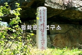 개심동고인돌(보존급 제1038호)
