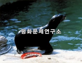 우암물개(천연기념물 제339호)
