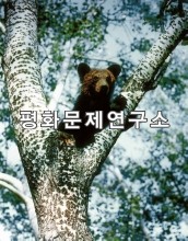 관모봉큰곰(천연기념물 제330호)