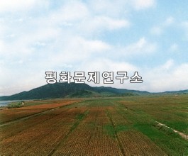 경흥군 두만강하구벌 