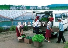 삼지연군 채소온실농장 생산된 채소수송