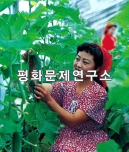 삼지연군 채소온실농장 오이재배