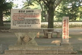 성균관 은행나무 (천연기념물 제386호)