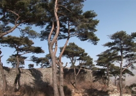 수양산성(首陽山城, 보존급 제241호)